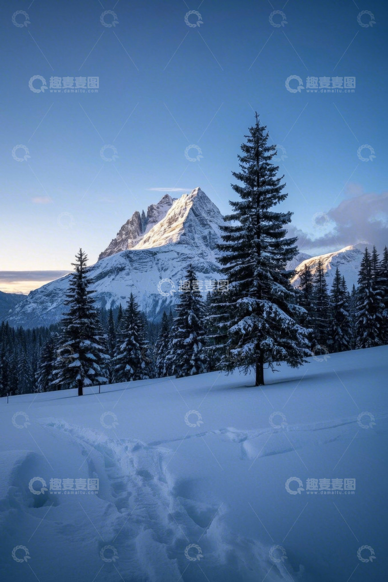 高清大图下载【趣麦麦图】雪山下的雪地与松林景观