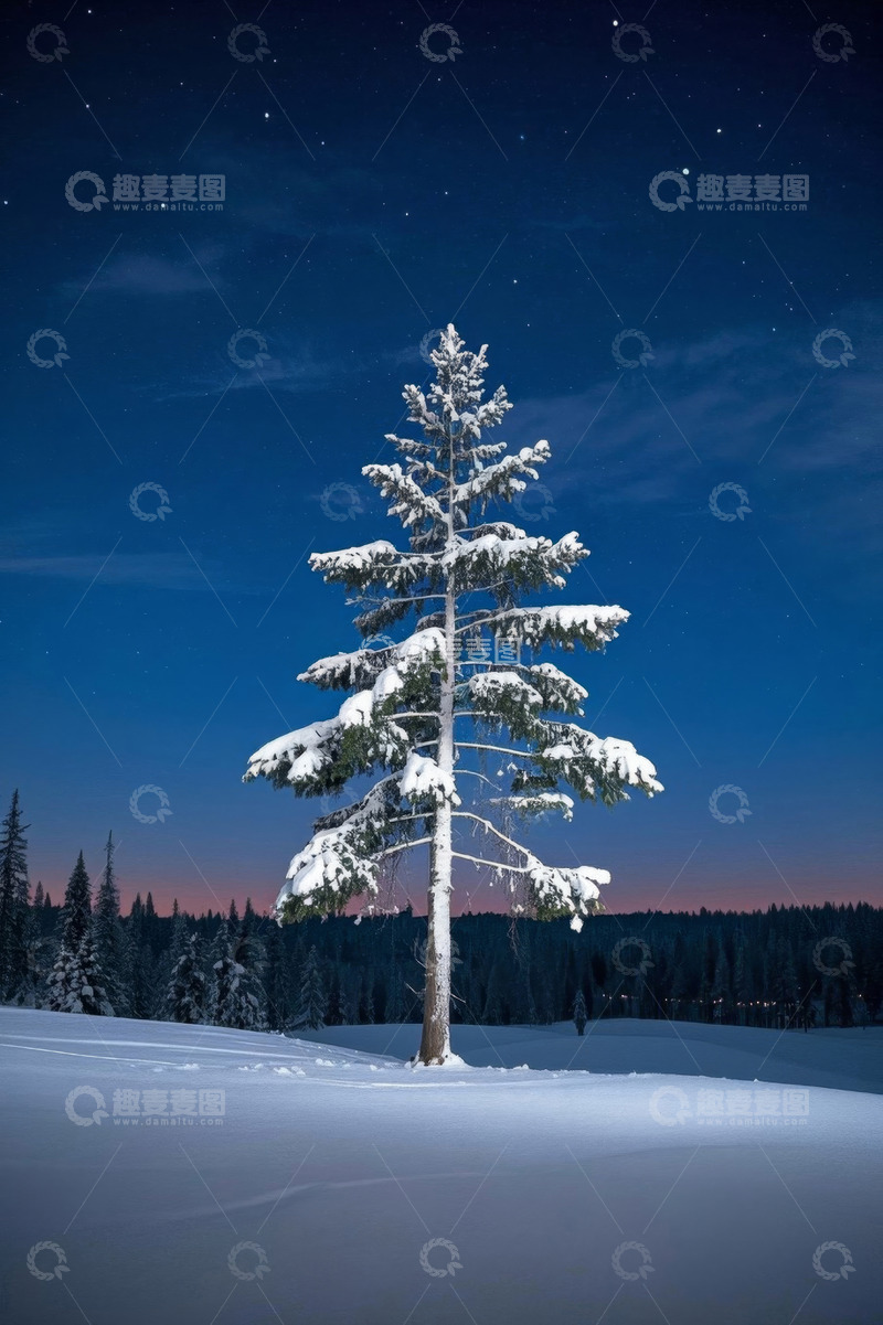 高清大图下载【趣麦麦图】雪地中被雪覆盖的单棵松树