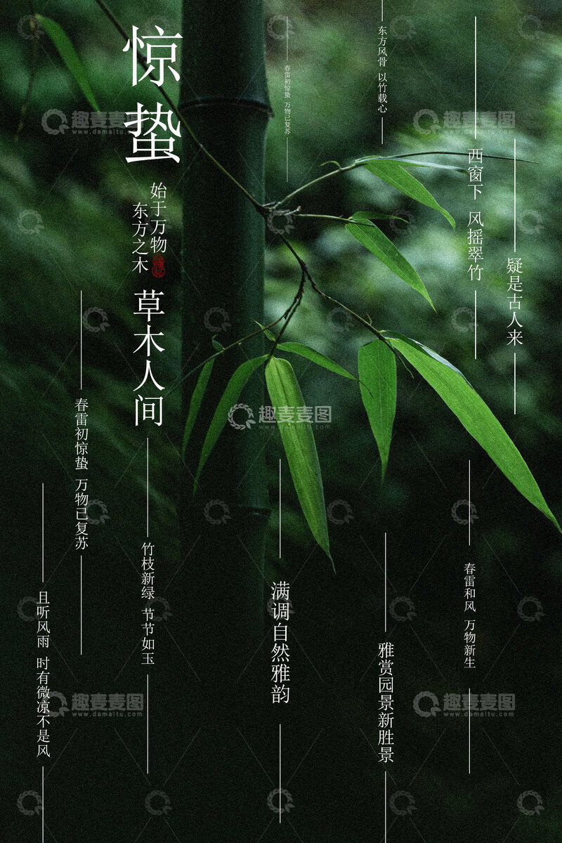 源文件下载【趣麦麦图】-静谧竹林惊蛰节气海报