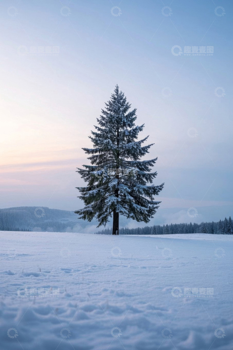 高清大图下载【趣麦麦图】雪地中独立的积雪松树