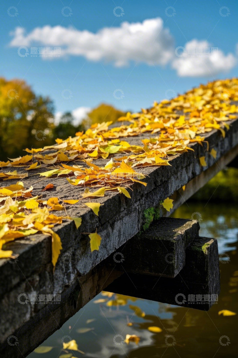 高清大图下载【趣麦麦图】秋日木桥落叶风景