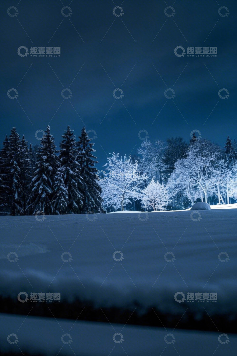 高清大图下载【趣麦麦图】夜间雪景森林景观