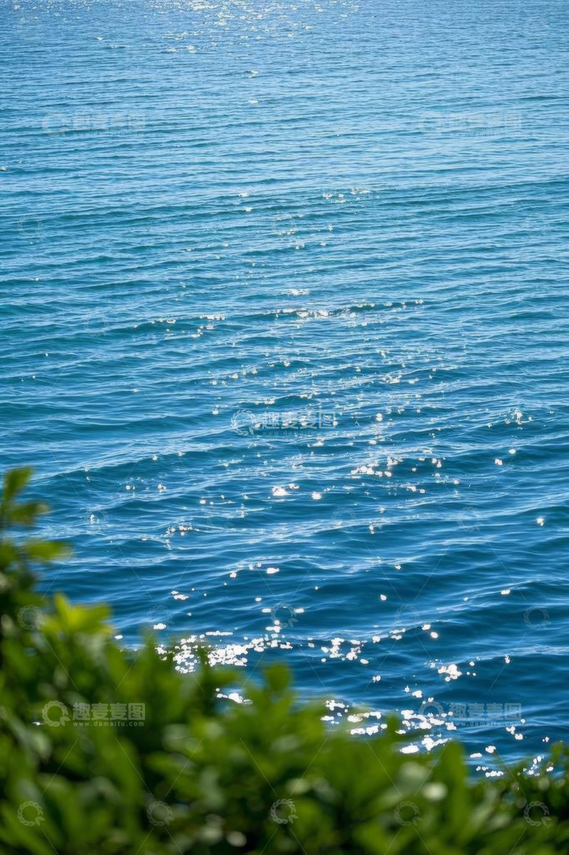高清大图下载【趣麦麦图】近景蓝色海面与前景绿植