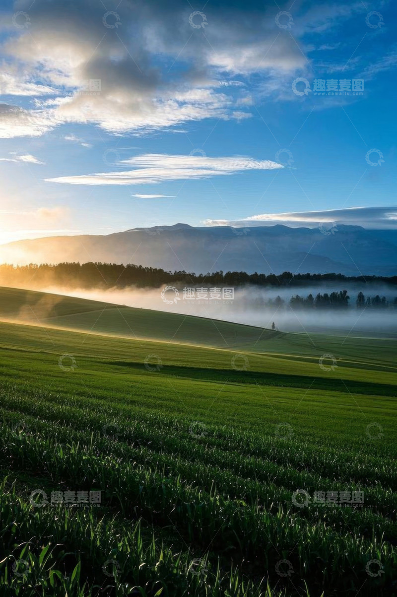 高清大图下载【趣麦麦图】清晨阳光照耀下的绿色田野