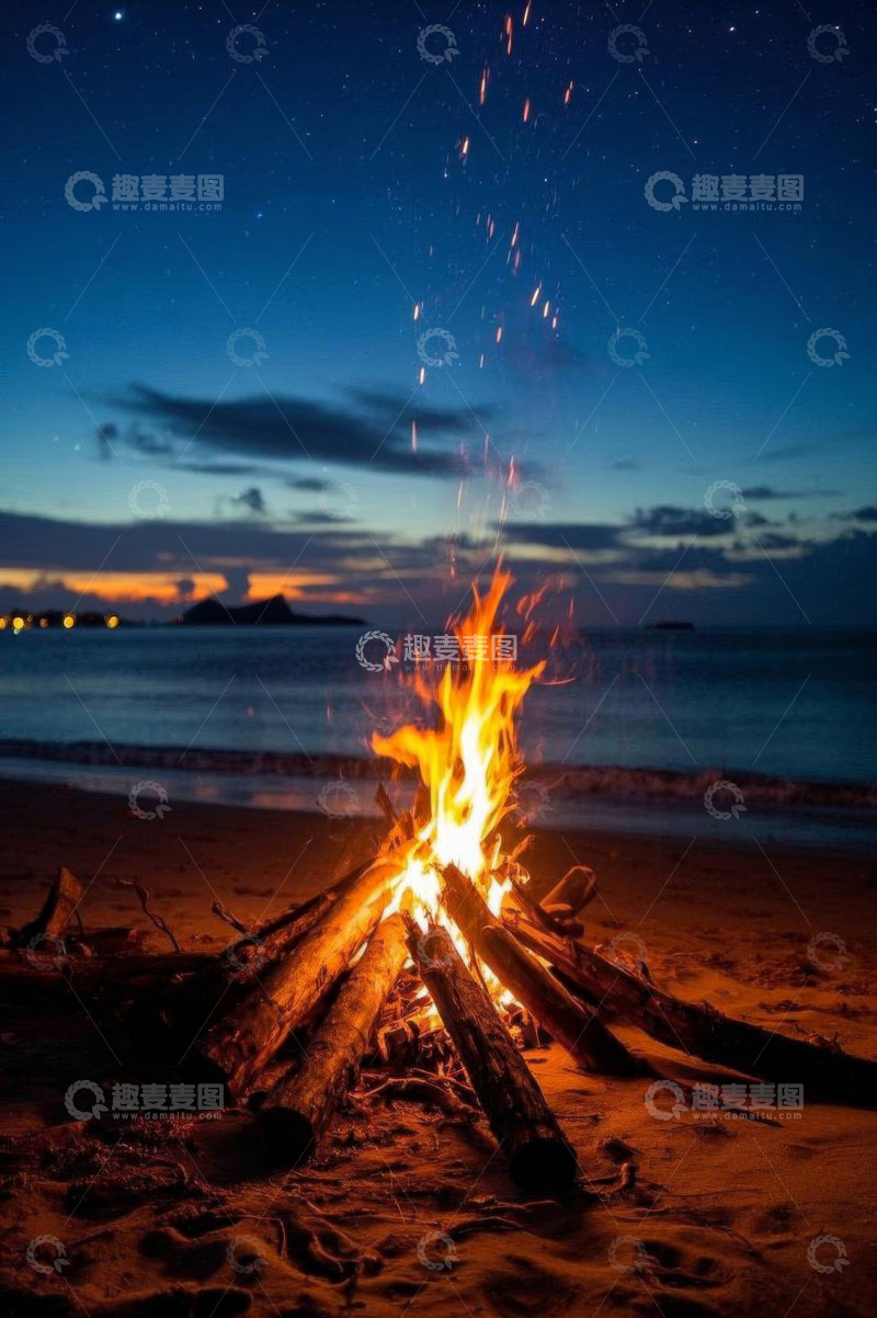 高清大图下载【趣麦麦图】海滩篝火夜景