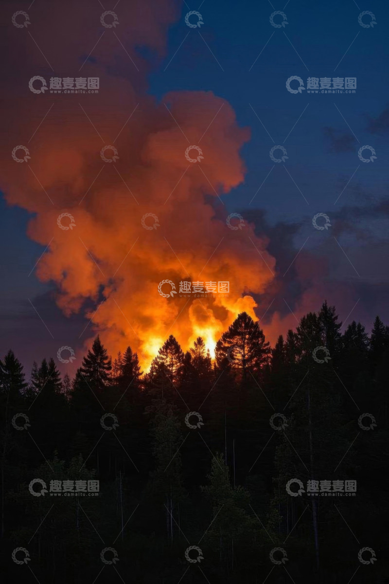 高清大图下载【趣麦麦图】森林夜间大火场景