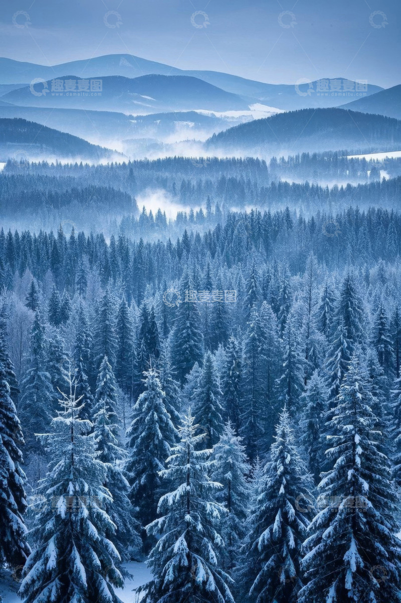 高清大图下载【趣麦麦图】雪覆森林山脉远景