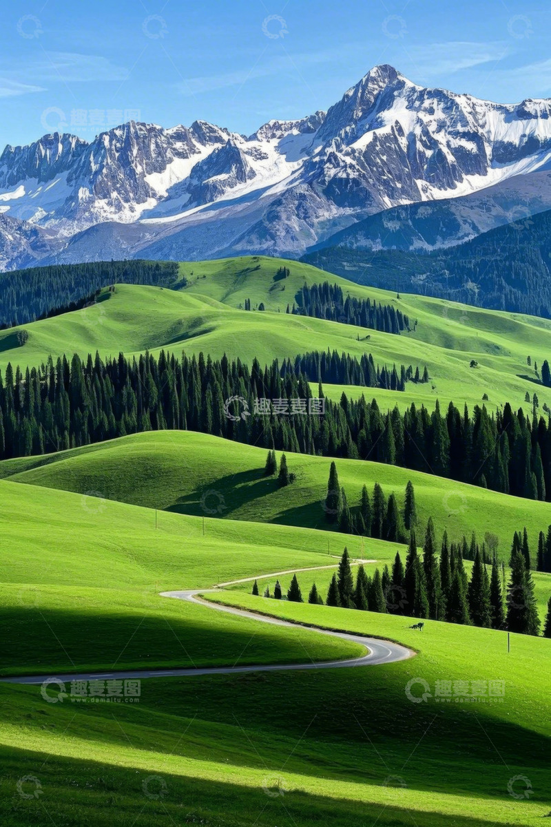 高清大图下载【趣麦麦图】雪山下的草原与森林风景