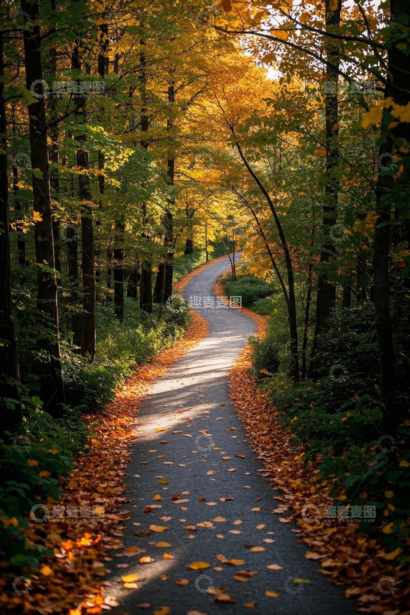 高清大图下载【趣麦麦图】秋日森林中的蜿蜒小路