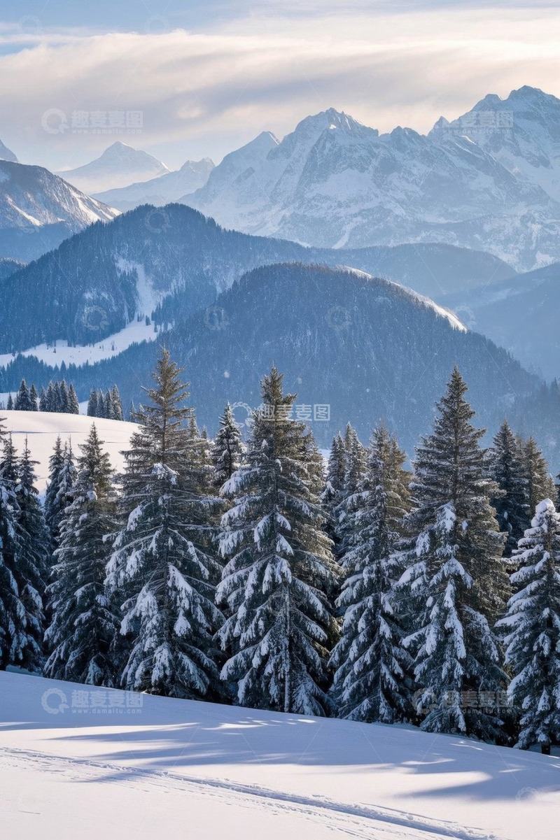 高清大图下载【趣麦麦图】雪山下覆盖积雪的森林景观