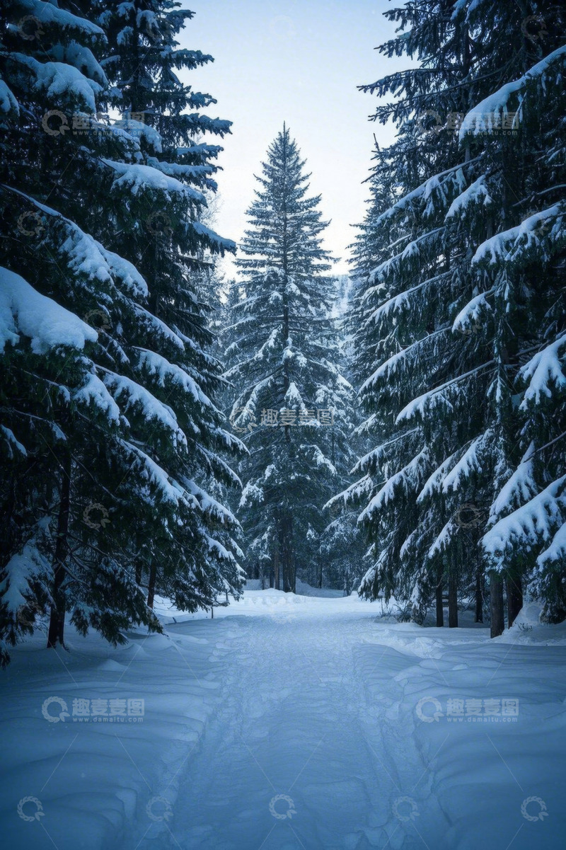 高清大图下载【趣麦麦图】冬日雪覆森林景象