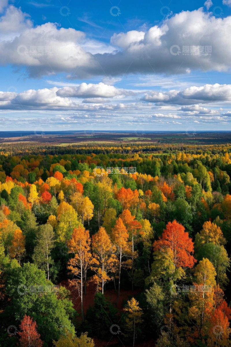 高清大图下载【趣麦麦图】秋季森林全景俯瞰