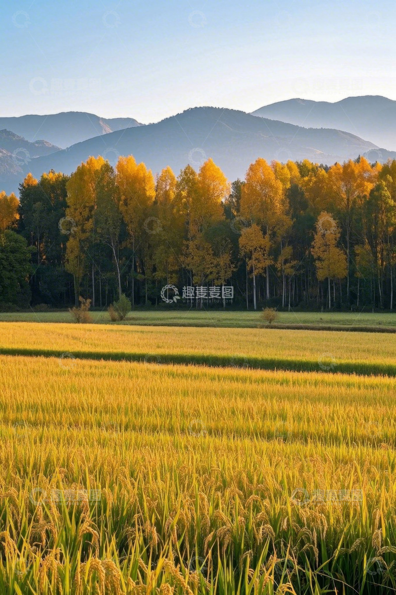 高清大图下载【趣麦麦图】田野秋景与远山树林