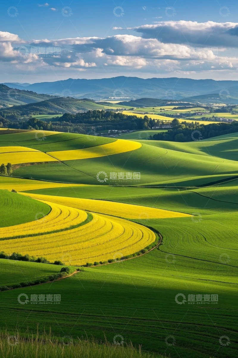 高清大图下载【趣麦麦图】田园风光黄绿相间田野景观