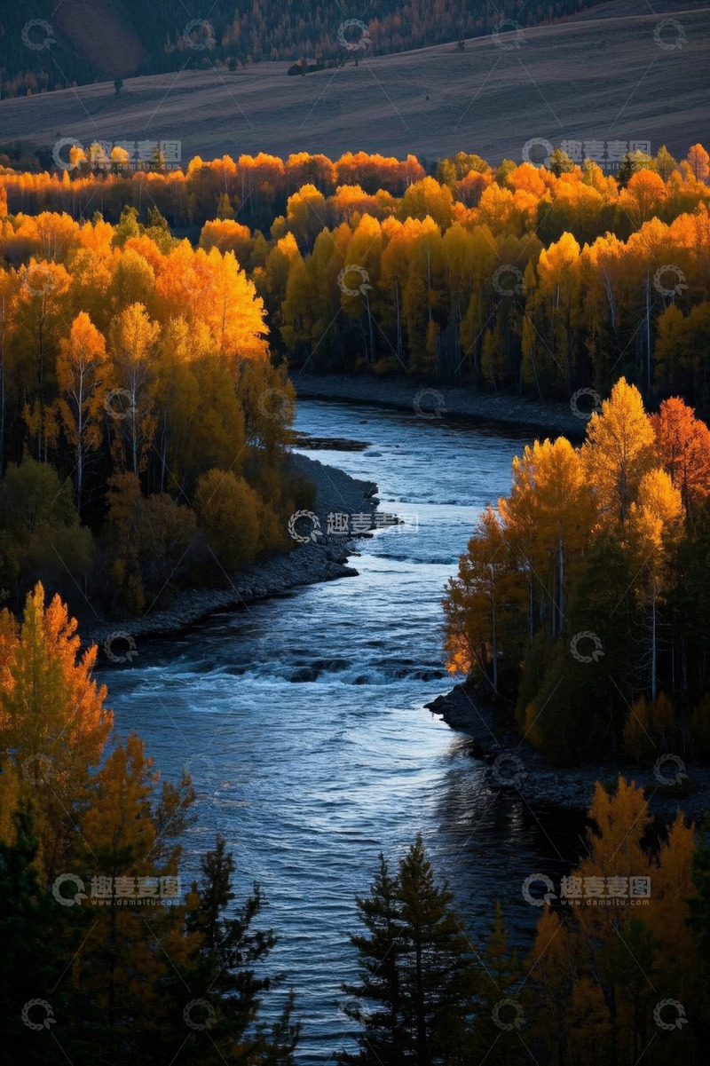 高清大图下载【趣麦麦图】秋日河流旁的金黄森林景观