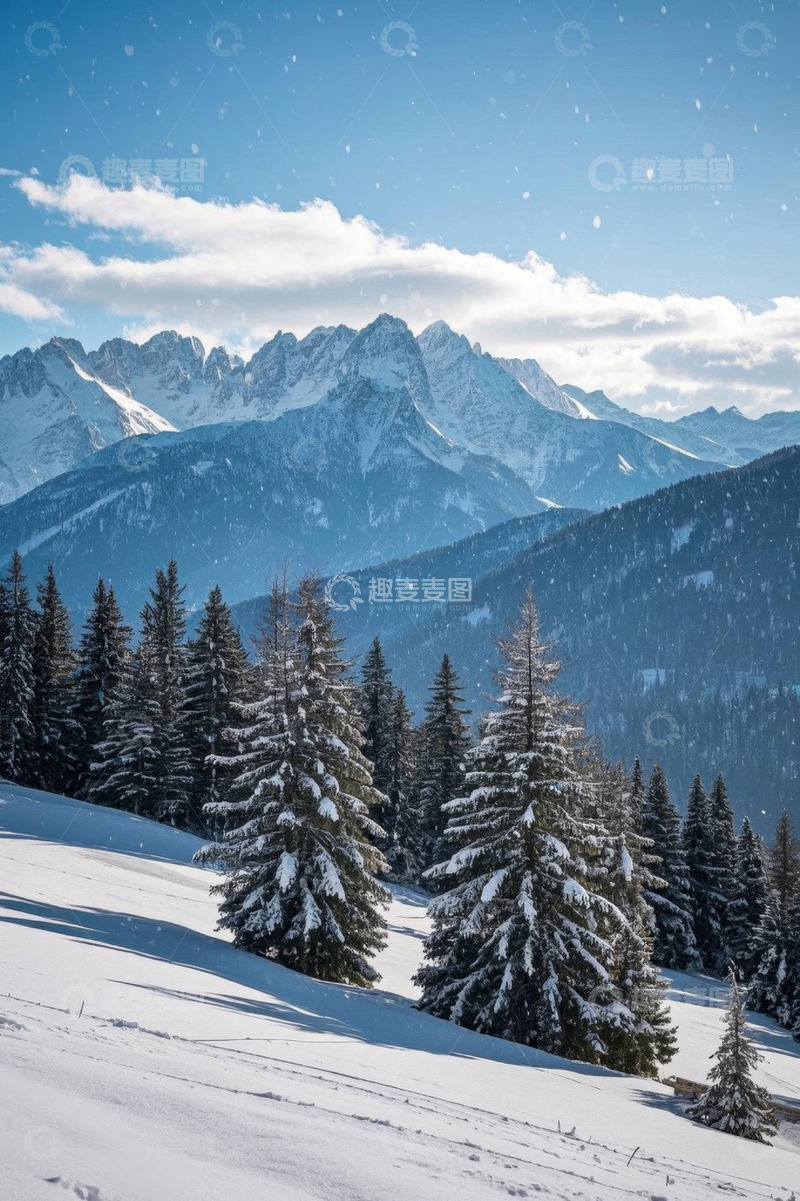 高清大图下载【趣麦麦图】雪山下覆盖积雪的森林景观