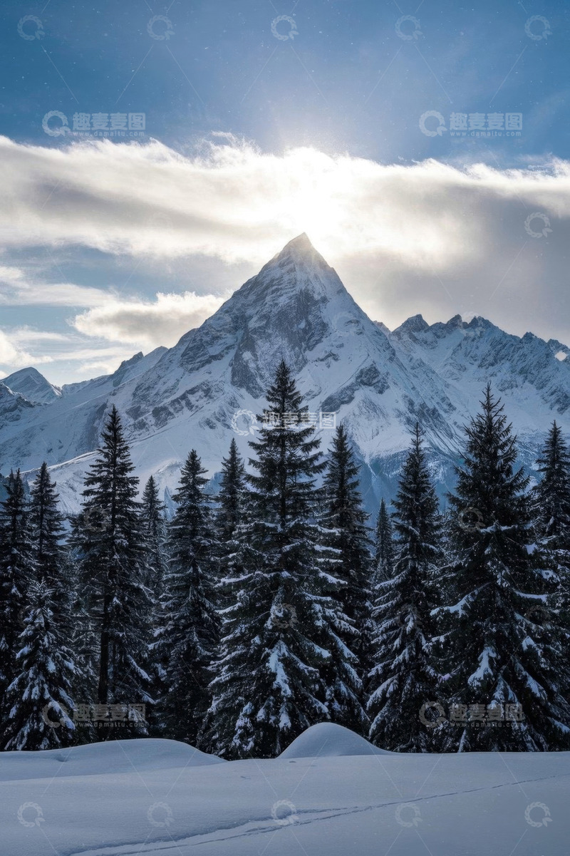 高清大图下载【趣麦麦图】雪山下的森林雪景