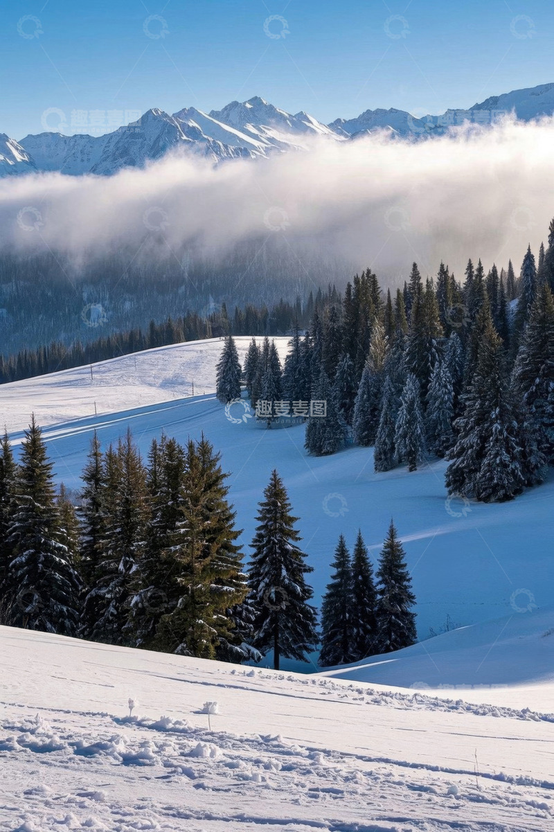 高清大图下载【趣麦麦图】雪山森林冬日自然风景