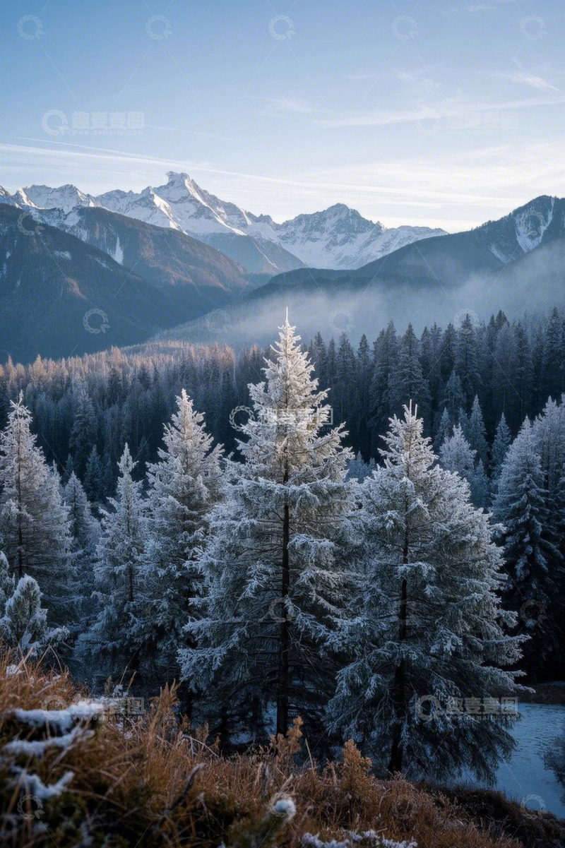 高清大图下载【趣麦麦图】雪山下覆盖薄雪的森林景观
