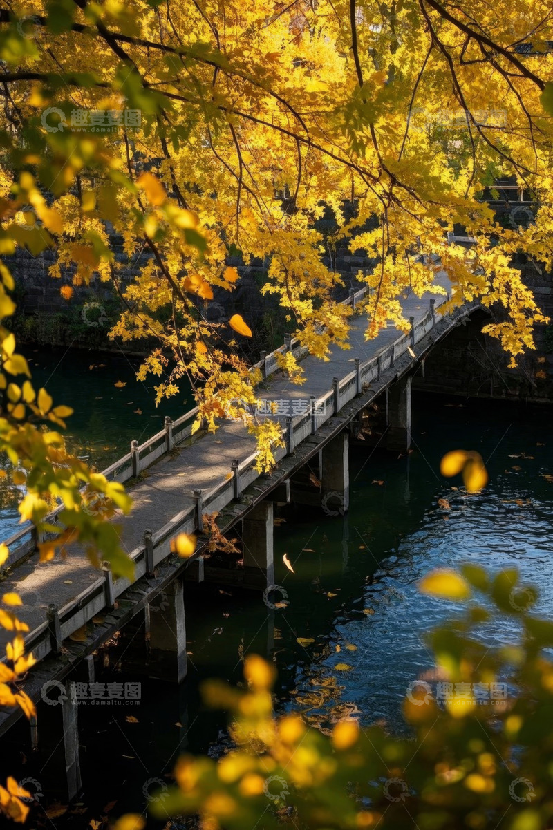 高清大图下载【趣麦麦图】秋日桥梁与金黄树叶景观