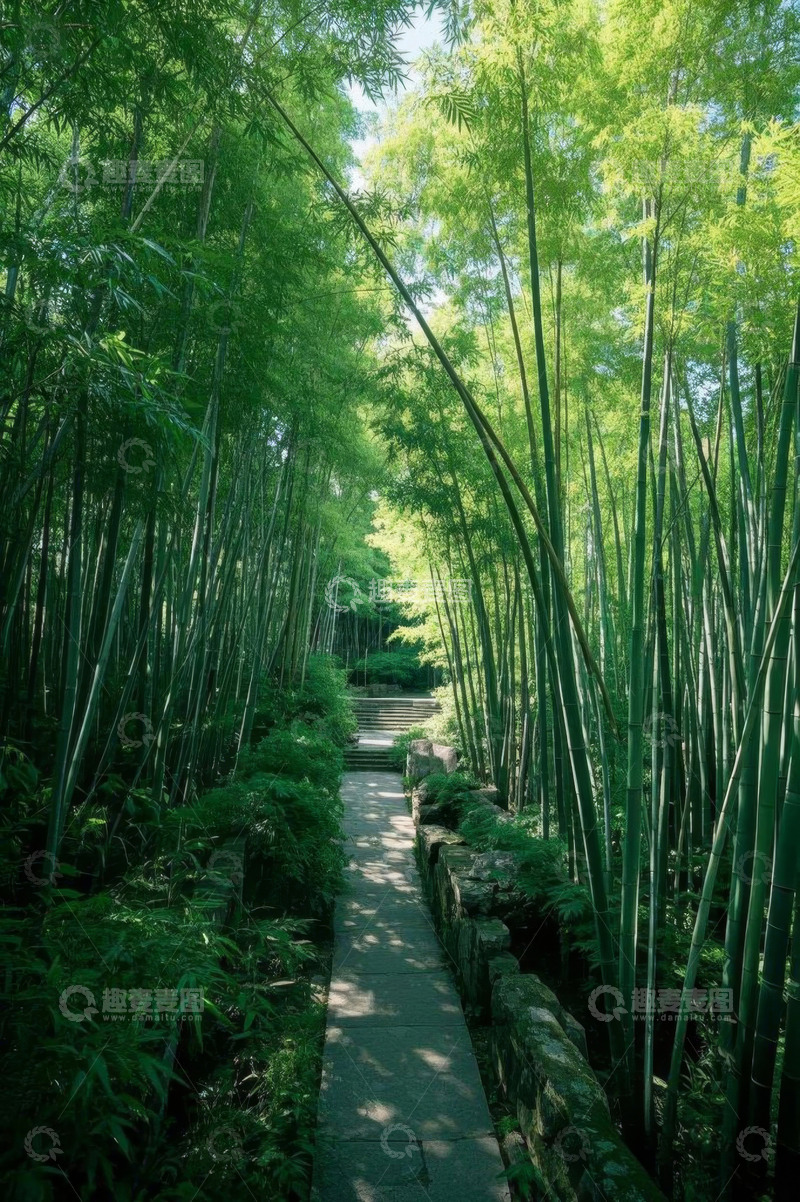 高清大图下载【趣麦麦图】竹林中的石板小径