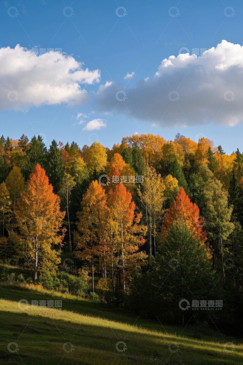 高清大图下载【趣麦麦图】秋日森林蓝天白云风景