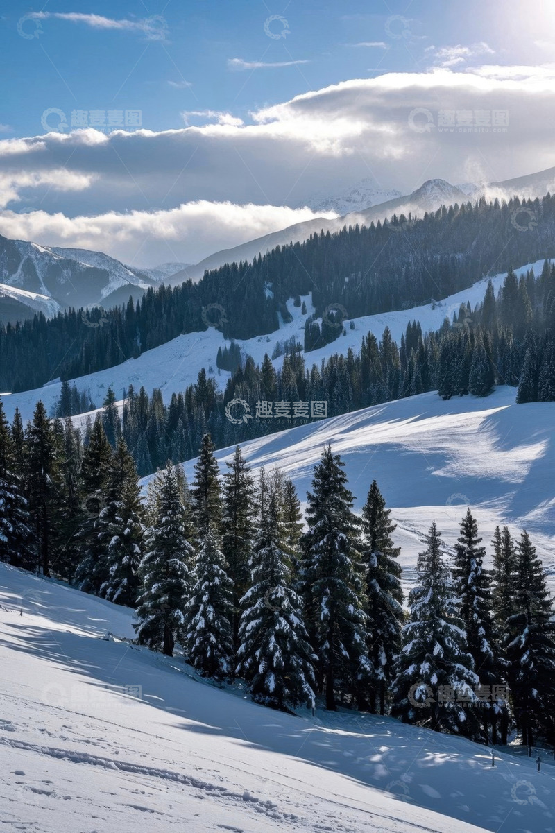 高清大图下载【趣麦麦图】雪山松林冬日自然景观