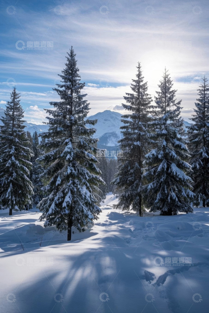 高清大图下载【趣麦麦图】雪后森林与远处雪山景观