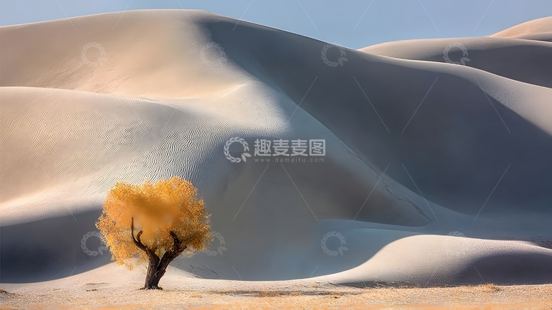 高清大图下载【趣麦麦图】沙漠孤树风光摄影