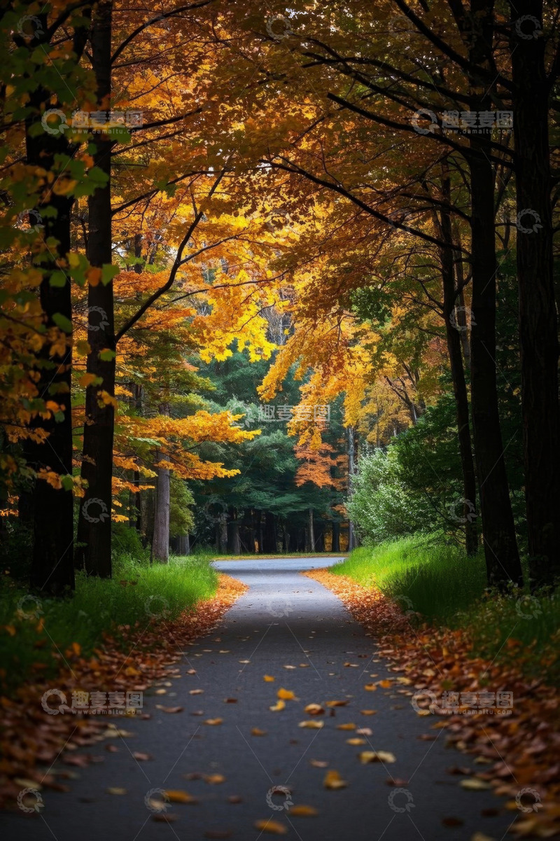 高清大图下载【趣麦麦图】秋日森林中的蜿蜒小路