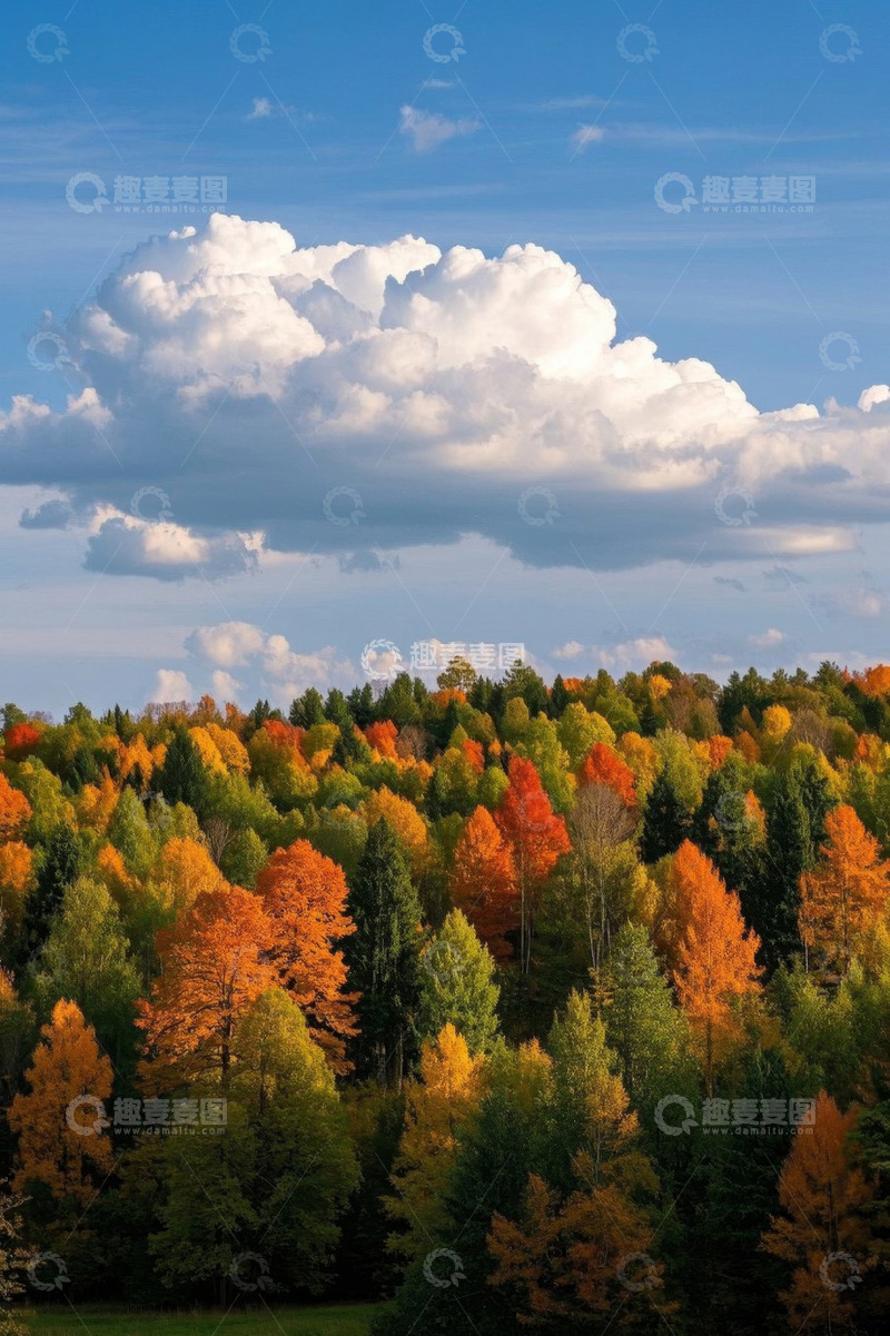 高清大图下载【趣麦麦图】秋季多彩森林与蓝天白云景观