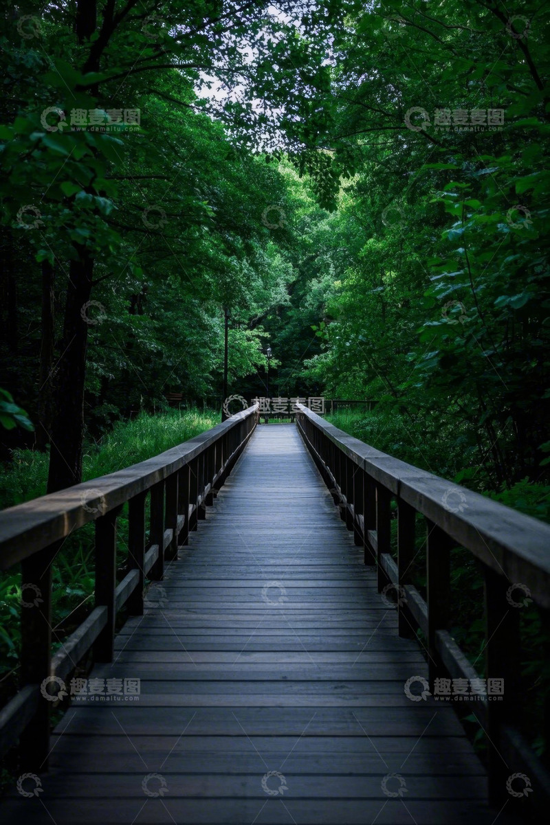 高清大图下载【趣麦麦图】森林中木质步道风景