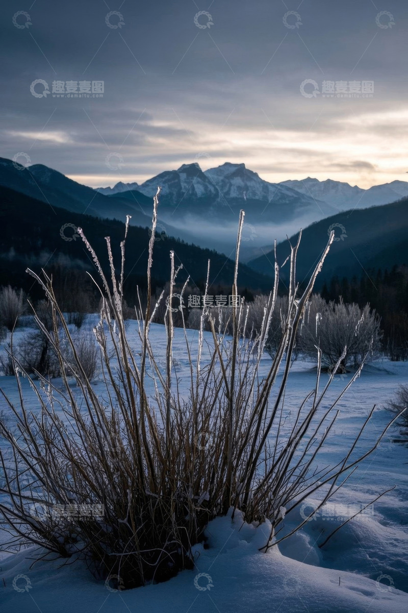 高清大图下载【趣麦麦图】雪地远山与覆霜植物景观