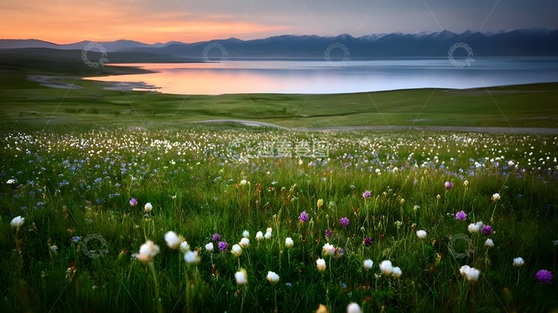 高清大图下载【趣麦麦图】湖畔花海日出风光摄影
