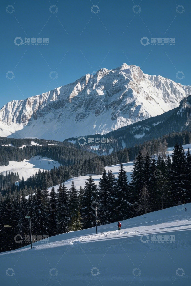 高清大图下载【趣麦麦图】雪山下的森林雪景风光