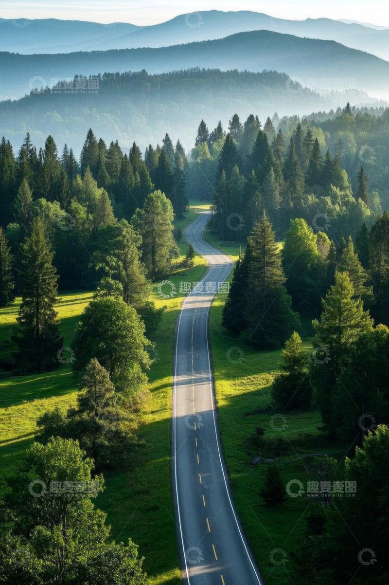 高清大图下载【趣麦麦图】森林中的蜿蜒道路