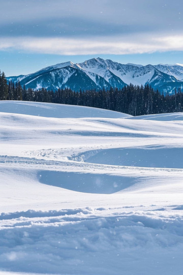 雪山下的雪地森林景观
