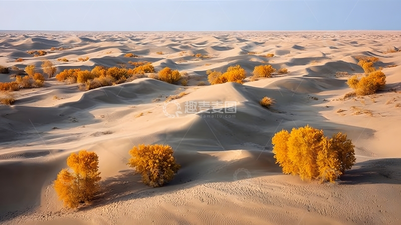 高清大图下载【趣麦麦图】沙漠胡杨秋色风光摄影图片