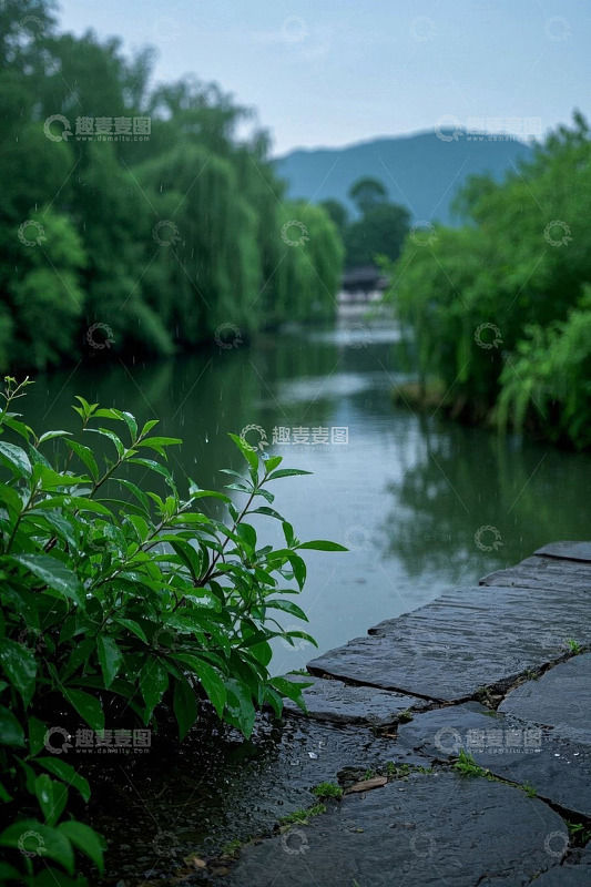 雨中河畔绿植与山水景致