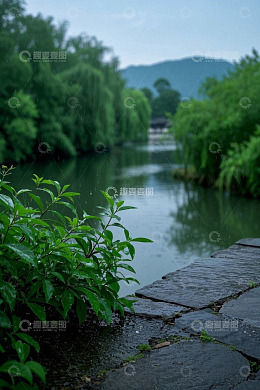 雨中河畔绿植与山水景致