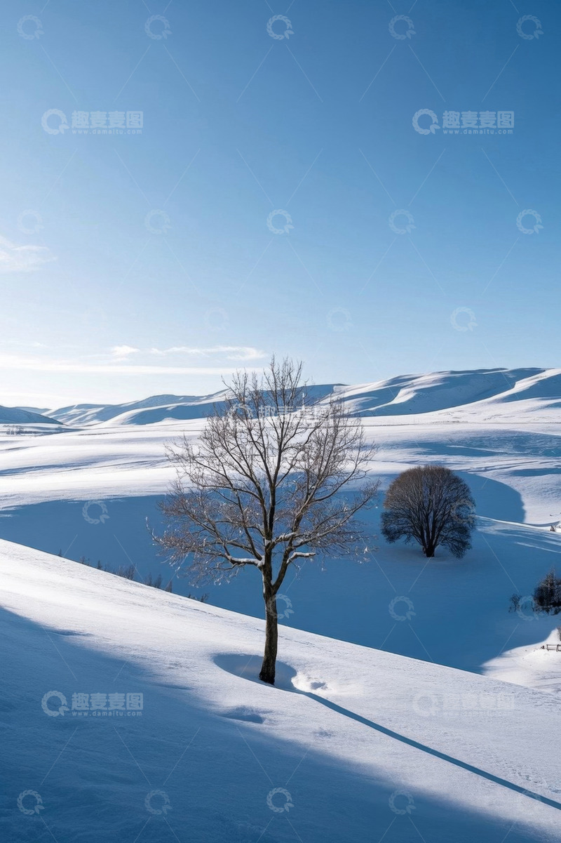 高清大图下载【趣麦麦图】冬日雪野中的孤树景观