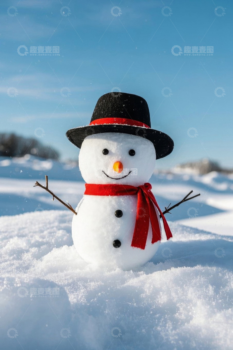 高清大图下载【趣麦麦图】戴帽围巾雪人站立雪地