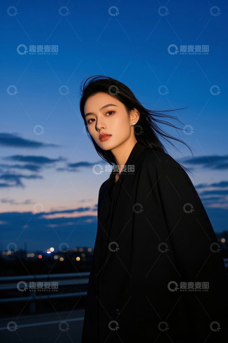 高清大图下载【趣麦麦图】夜幕下时尚女子侧颜照