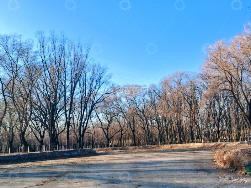 高清大图下载【趣麦麦图】冬日林间小路风景