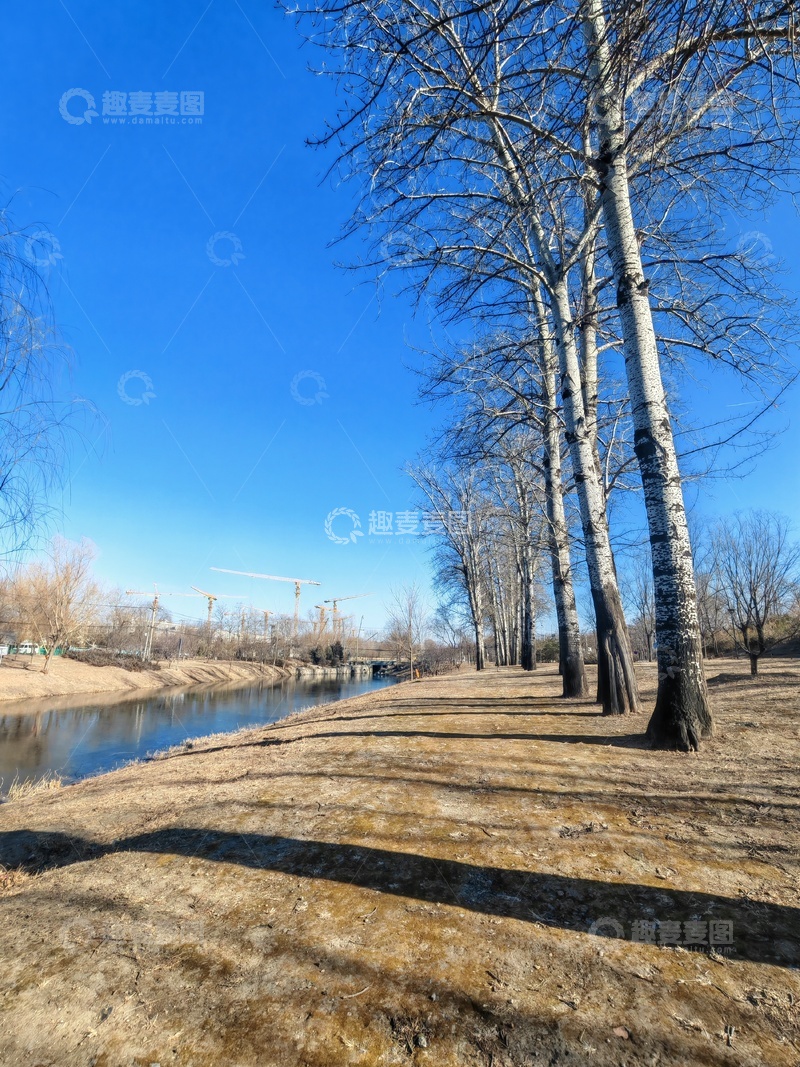 高清大图下载【趣麦麦图】冬日白桦河岸风光