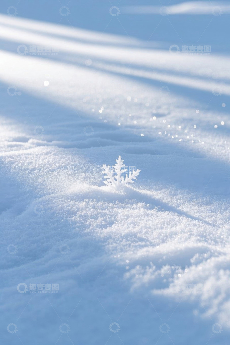 高清大图下载【趣麦麦图】雪地中特写的雪花