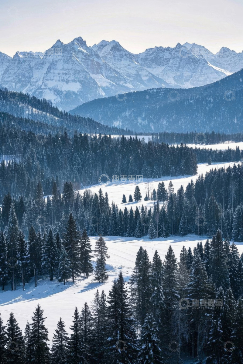 高清大图下载【趣麦麦图】雪山下的森林雪景