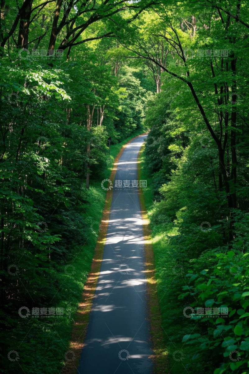 高清大图下载【趣麦麦图】林间绿色道路风景