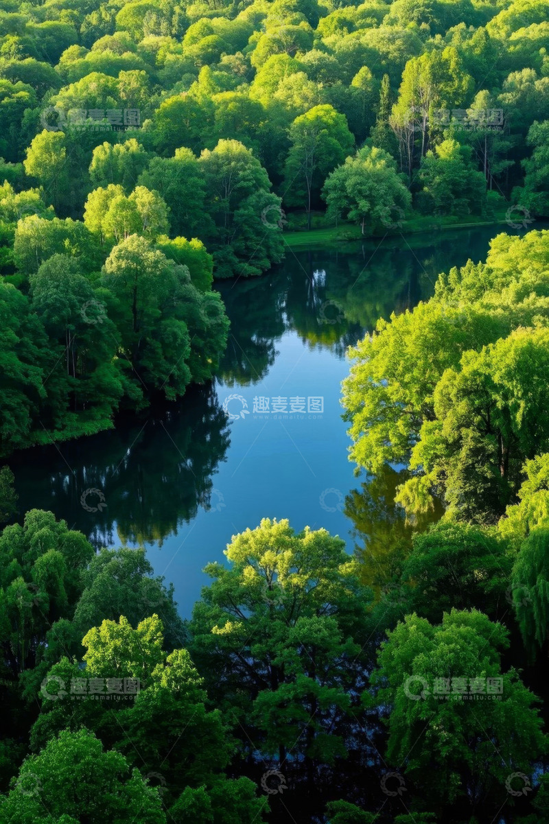 高清大图下载【趣麦麦图】森林湖泊鸟瞰全景