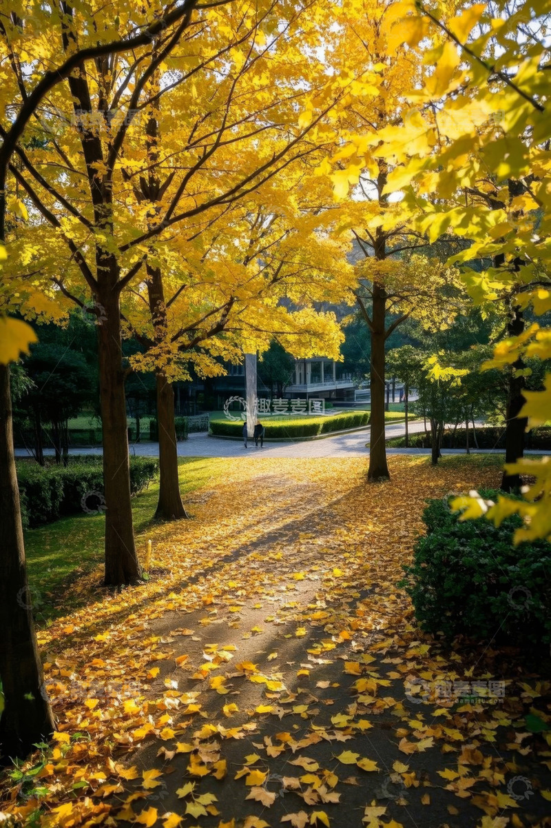 高清大图下载【趣麦麦图】秋日公园落叶林荫道景象